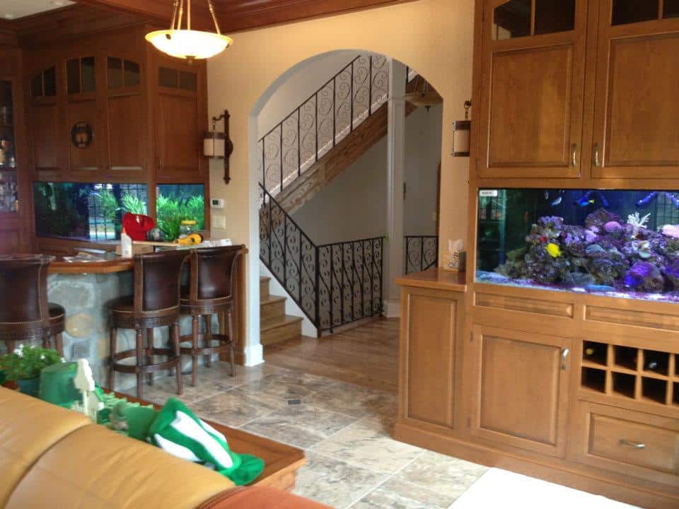 Absolutely Fish - Custom Aquariums New Jersey
