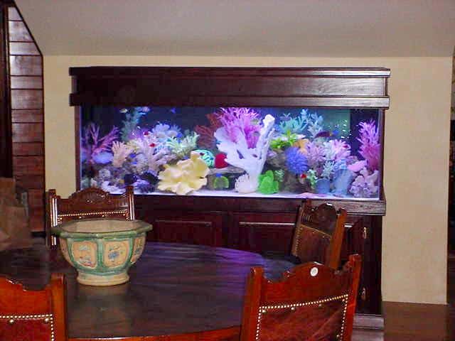 Absolutely Fish - Custom Aquariums New Jersey