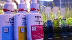 WaterTest